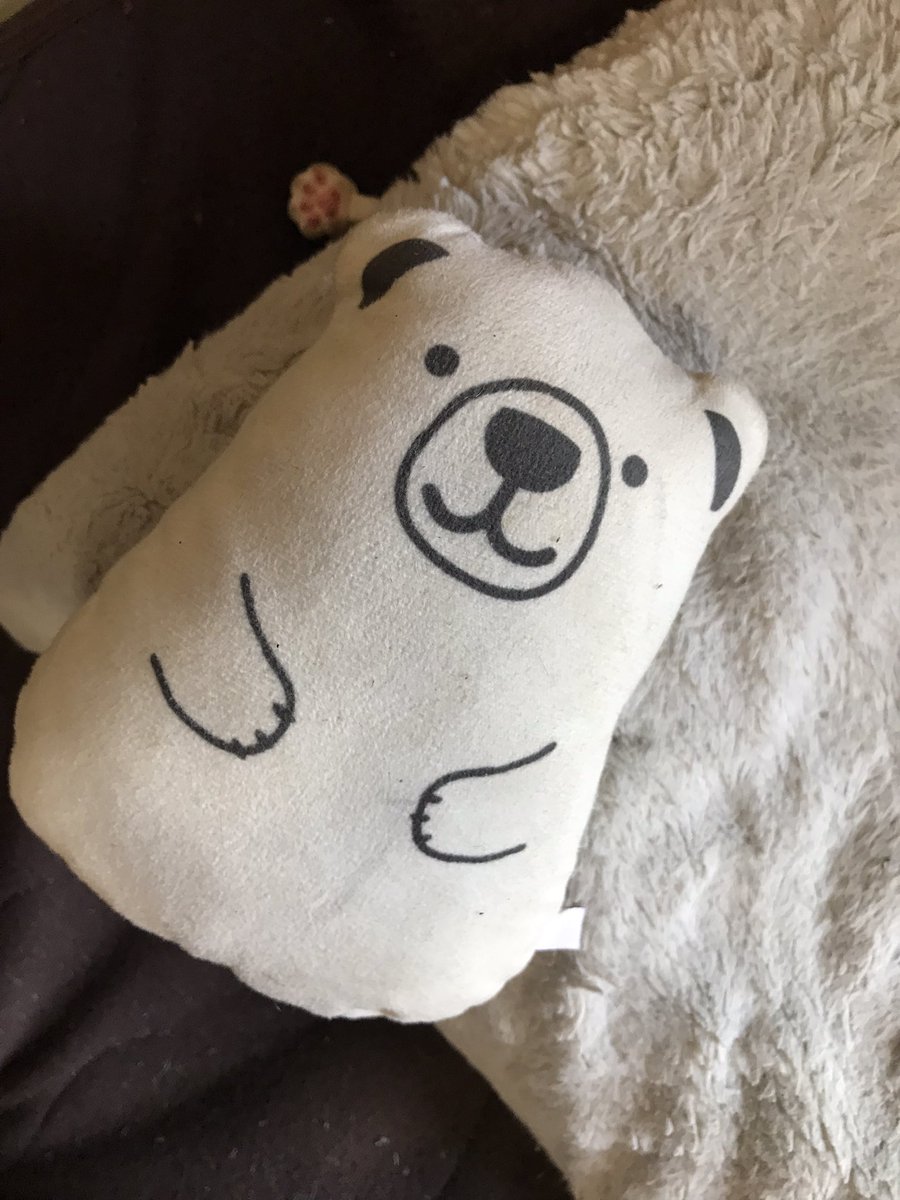 AITONIKUSHIL's tweet photo. 秋山さんこれBUMP熊だよ？ちゃんと届けてね？ https://t.co/LdALFFzMos