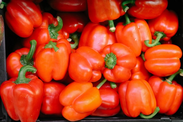 Soil Wealth ICP (@soilwealthicp) on Twitter photo Don't forget to register for our 2nd mini-webinar on area wide management strategies to control #capsicum viruses such as tomato spotted wilt virus & pepper mild mottle virus.
🗓️Wed 7 Sep, 4-4:30pm AEST
Register: bit.ly/3PTNXBr
<a href="/SoilWealth/">SoilWealth</a> <a href="/AUSVEG/">AUSVEG</a> <a href="/Hort_Au/">Hort Innovation</a> @DAFQld Don't forget to register for our 2nd mini-webinar on area wide management strategies to control #capsicum viruses such as tomato spotted wilt virus & pepper mild mottle virus.
🗓️Wed 7 Sep, 4-4:30pm AEST
Register: bit.ly/3PTNXBr
<a href="/SoilWealth/">SoilWealth</a> <a href="/AUSVEG/">AUSVEG</a> <a href="/Hort_Au/">Hort Innovation</a> @DAFQld