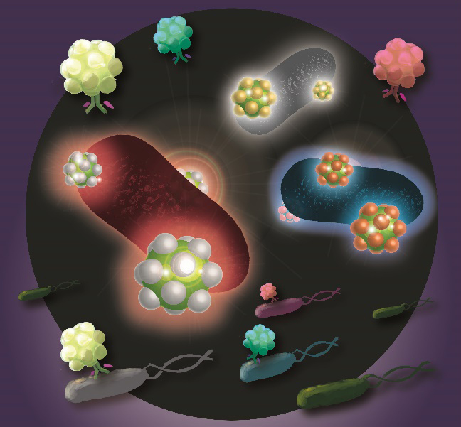 OsakaMetUniv_en's tweet photo. Food poisoning tests might not need to take 48 hours. #OMU scientists found a one-hour method to identify food poisoning bacteria based on color differences in the light scattered by nanohybrid structures. https://t.co/7IA59NrMkN
#OMUScience https://t.co/x46o9ss2zr