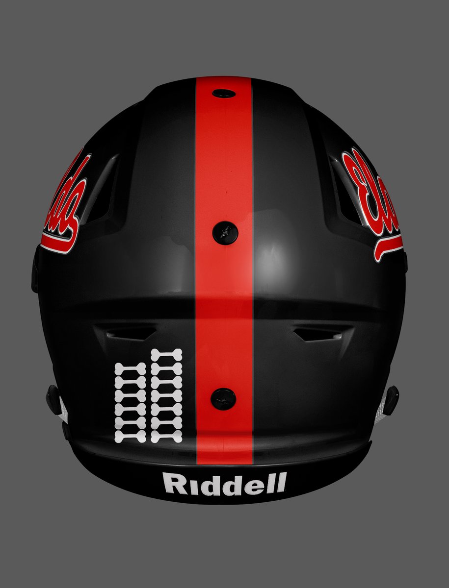Missouri Helmet Project tweet media