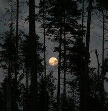 lockedkv's tweet photo. Twilight;

#taekookau #kookv

"They are the Jeons", Jisoo whispers in his ears as everyone collectively turn to look at the door when a group of who Taehyung thinks are the most handsomest men he has ever seen come in. They causally saunter in like they own the place, not https://t.co/TXl0HPNYOy