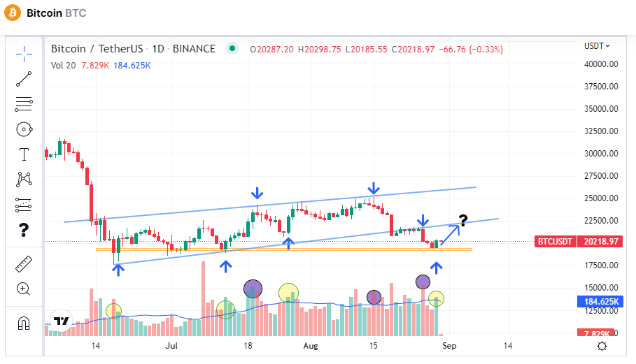 Linh Pham tweet media