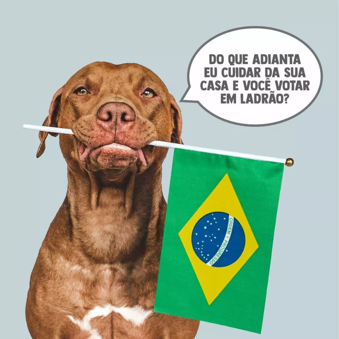 FlavioBolsonaro's tweet photo. Bolsonaro é 22! https://t.co/2ubEnSn8Ul