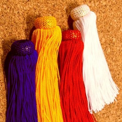 房紐.com tweet media