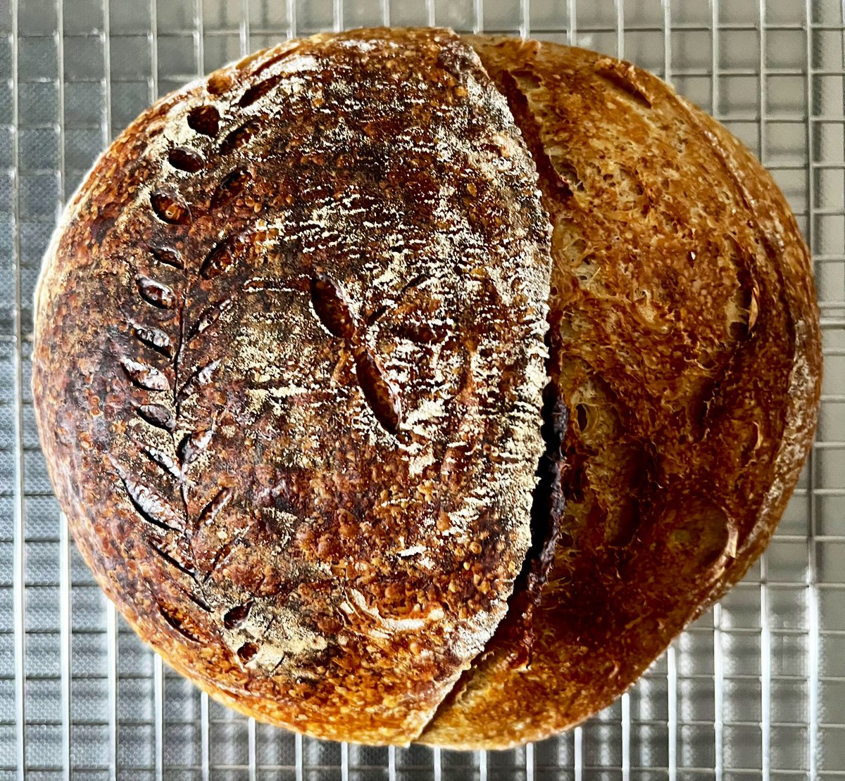 arthlechte's tweet photo. #sourdough loaf 11. Getting there! Bit more oven spring and an ear would be nice, but the shape is round and tight 😄 https://t.co/hTXjYWw0O4