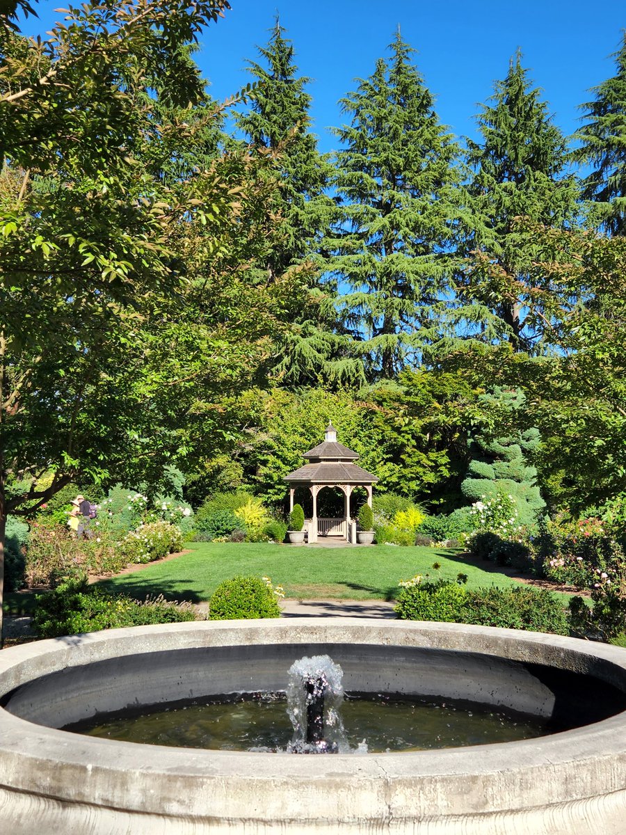 glass_have's tweet photo. Seattle's #woodlandparkzoo includes a #rosegarden with 3,000 roses! Not only peaceful and beautiful, it smells wonderful! 
When you visit #Seattle,  get the #CityPass &amp; see everything! 
.
#visitseattle #seetheusa #seattlecitypass #travelphotographer #travelwriter #52frames_peace https://t.co/aZmnfTVzu9
