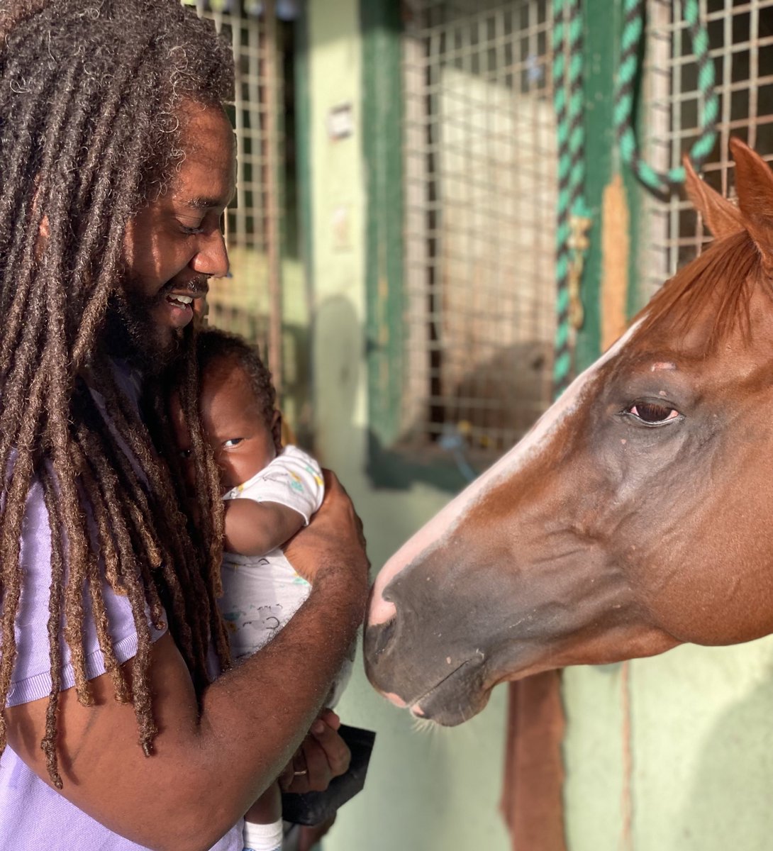 ryanmoseley's tweet photo. Ashe met Dreamy 💚💜! He’s normally a regular colt and loves to nip at you but he was extra gentle with our son 😍🥰🐎 @JeRamona https://t.co/dfVti3fQAy
