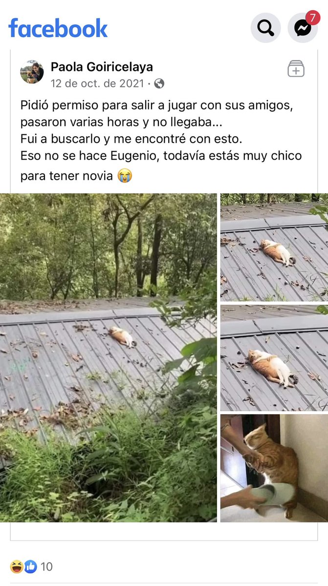 MonstruoPolar's tweet photo. El motivo por el cual no cierro Facebook hahaha 🤣 https://t.co/MT4wREItNn