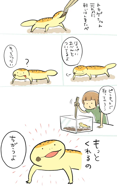 のんびりまったりした雰囲気に癒される！トカゲに朝ごはんをあげたときの出来事を描いた漫画が話題に！