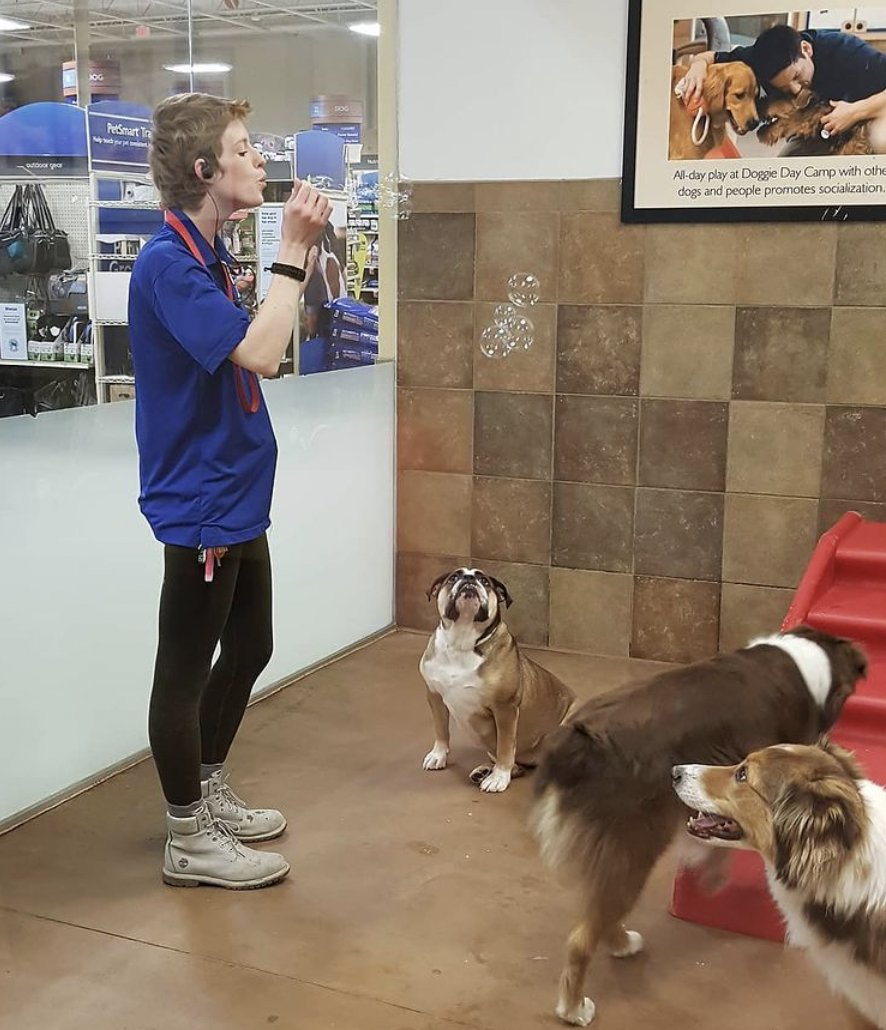 Opportunities are poppin' off within #LifeAtPetSmart!  ✨ Come make magic with us. 🤗 There's lots to love about a career at PetSmart—including on-the-job pet cuddles, competitive perks and benefits, and knowing that you work somewhere you truly belong. 🧡🐾