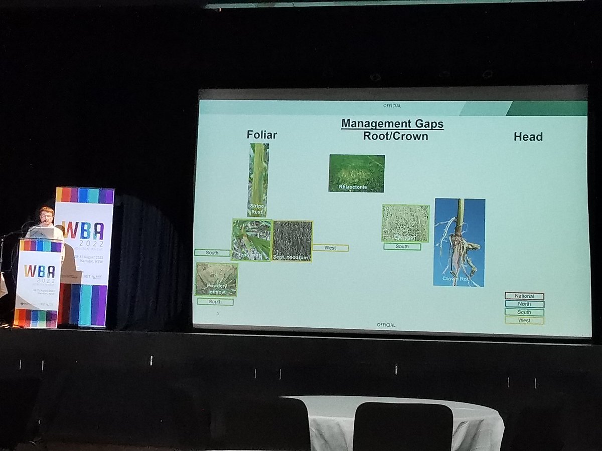 Grant Holloway on regional importance of fungal diseases of crops in Australia #WBA2022.