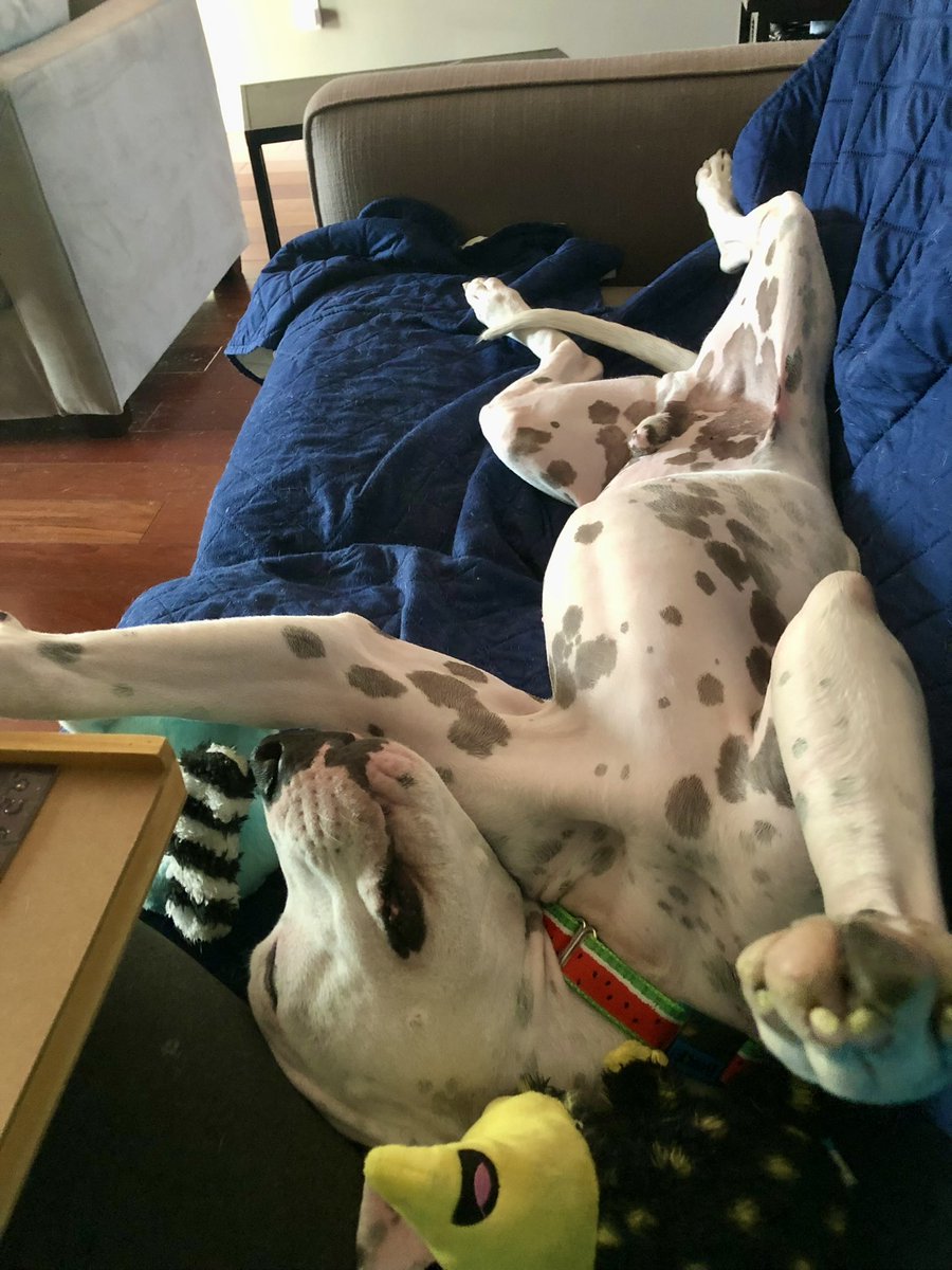 Vicky Pridgen tweet media