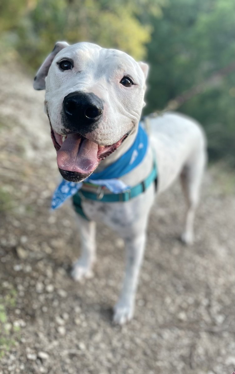 Vicky Pridgen tweet media