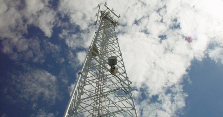 Amarc Argentina tweet media