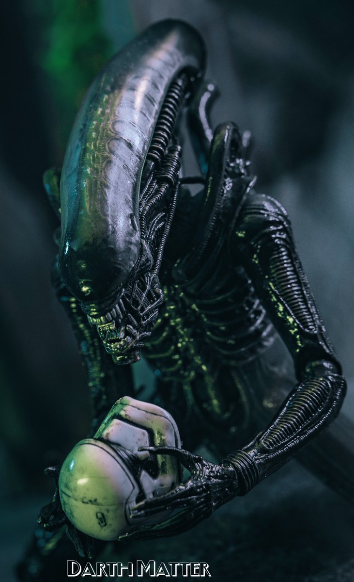 DarthMatterArt's tweet photo. No trade routes #xenomorph #necaalien #alien #bigchapalien #starwars #stormtrooper #hasbro #blackseries #mashup #toyphotography #toypics #toyphoto #starwarstimeshow #toypic_community #toypiccommunity #toypicnominator #moz_toy_box #lumecube #capture4cubes #atmosphereaerosol https://t.co/nXwlxq0MwD