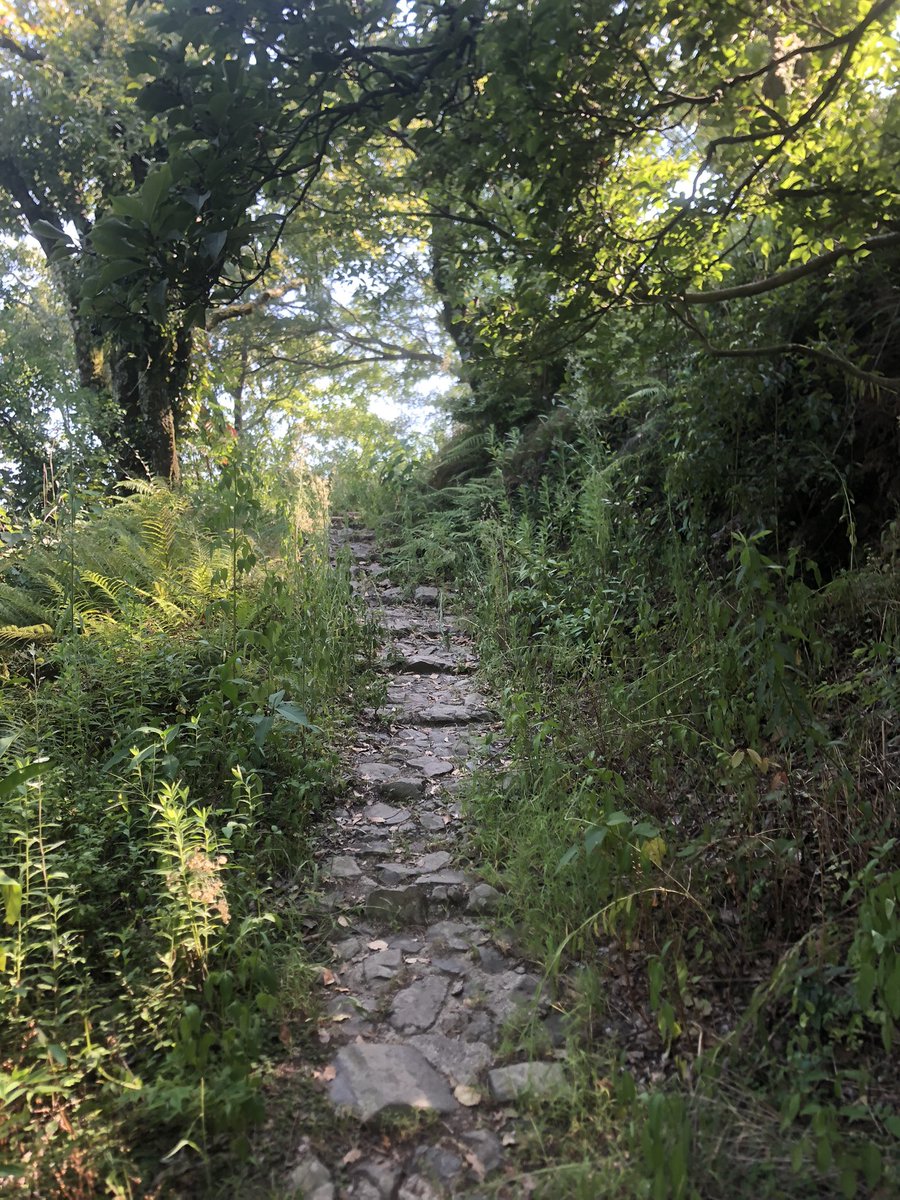 ㊗️快氣登山(*´艸`)✨️