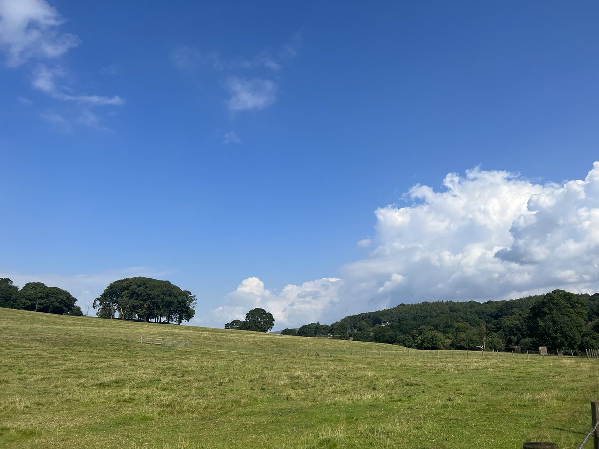 MandyBrinkhurst's tweet photo. Walking the Dales Way, beautiful and relaxing! #TreeCop #walk10000miles #countryside #dalesway https://t.co/YjfwsXGiZa