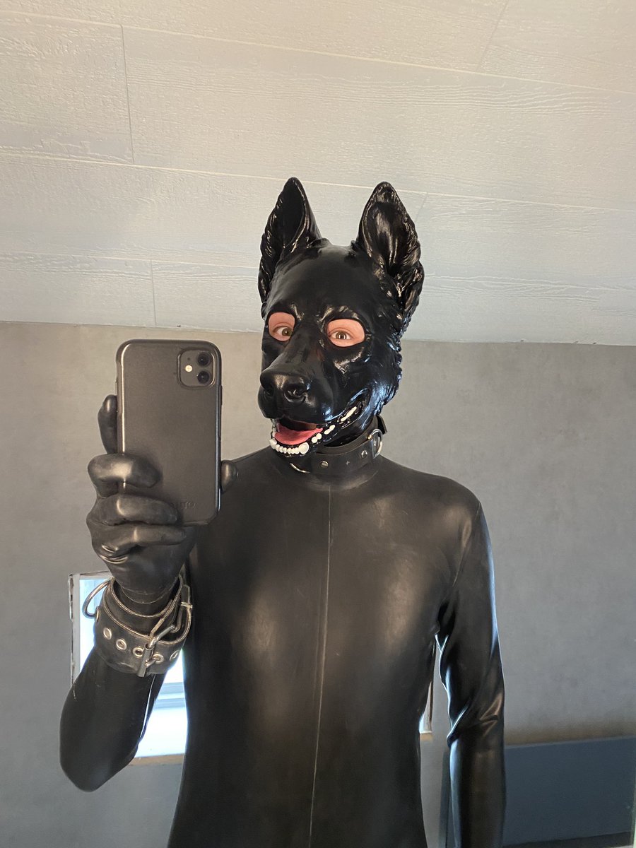 It's my birthday today, and I'll celebrate by showing some pics from yesterday of my new amazing hood by <a href="/SnapJawForge/">SNAP JAW</a> 🐶