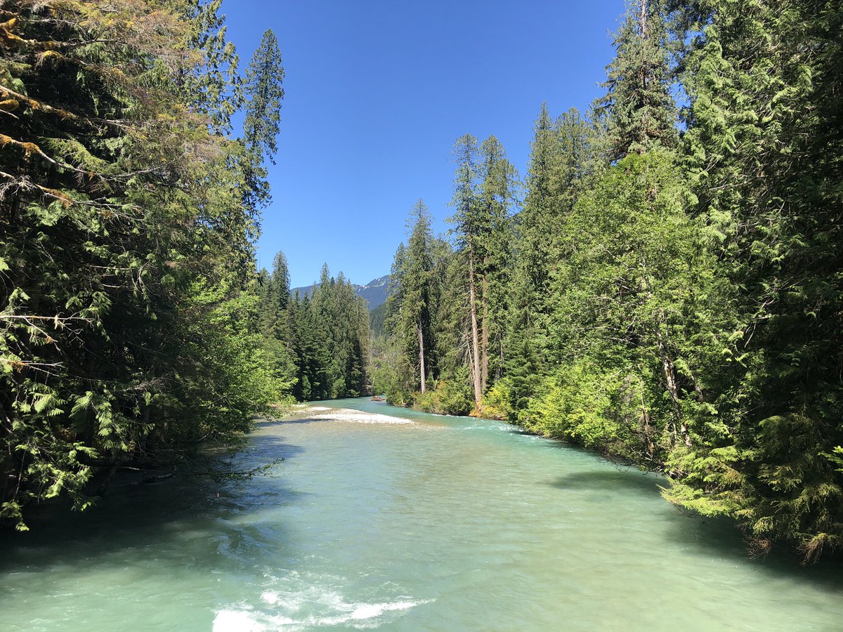 misstepp's tweet photo. @DanRather Thunder Creek, North Cascades National Park https://t.co/aWX16K5X6e