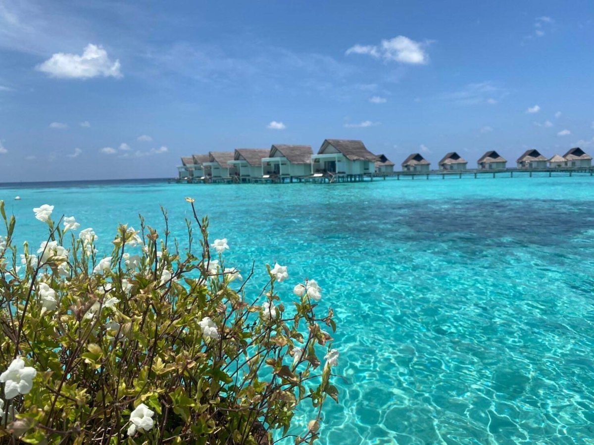 Maldives