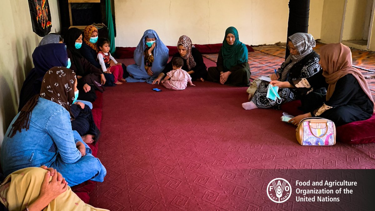 Women make important contributions to food production & nutrition. @FAO enables rural women to grow vegetables for domestic consumption & the surplus is sold for income. 2,750 women in Samangan received vegetable seeds & related training. Funds: @UNCERF #FoodSecurity #ZeroHunger