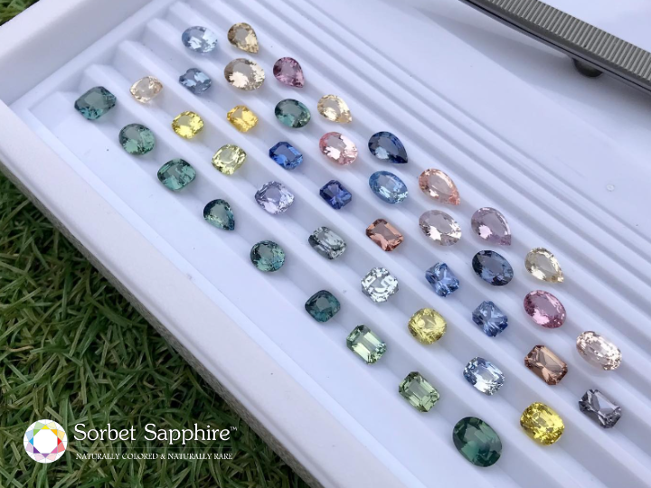 RoroAter's tweet photo. These gorgeous mixed stones from our newest collection deserve a special mention because they truly do appear to be out of this world!

Which Mixed Stone Sapphire caught your eye? 

Let us know by visiting our website and giving them their forever home https://t.co/9QePVRMDVm https://t.co/HBzrCqPZ2l