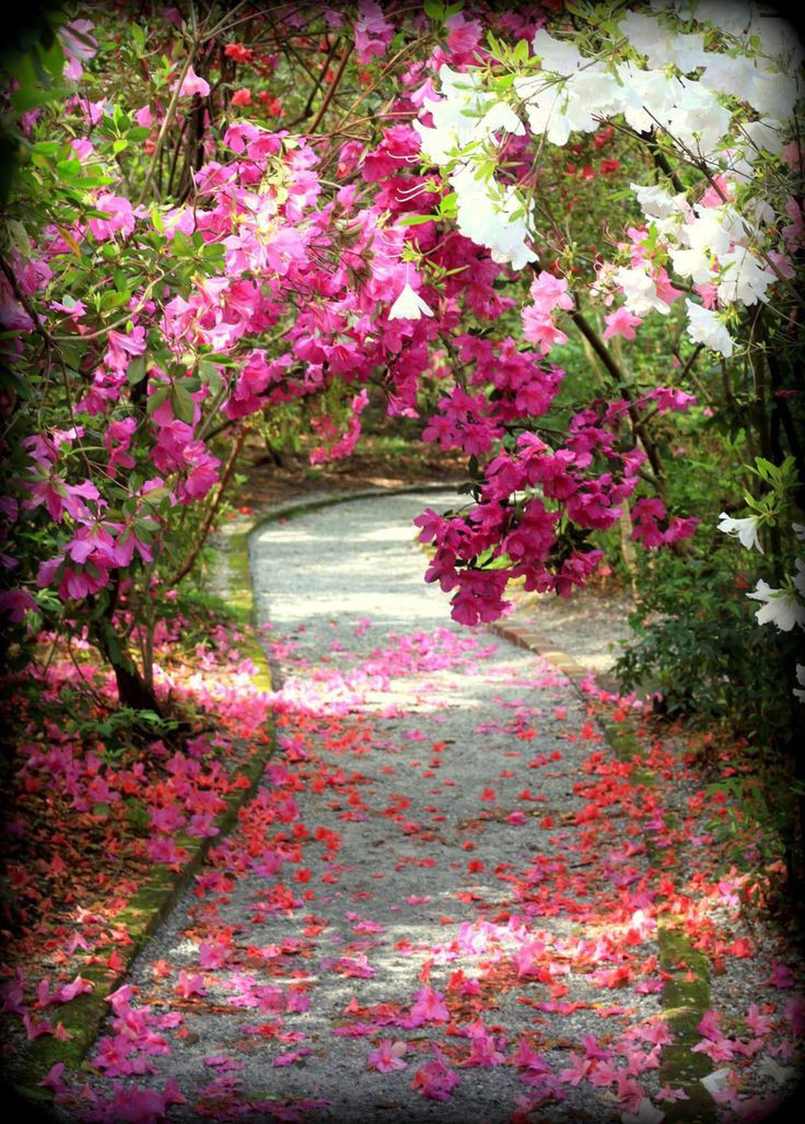ElenaGrin6's tweet photo. Good day to all. Blessed new day. Happy Tuesday. Let all roads be easy. May all doors be open for you. Let everything work out and everything comes true. Dear beloved friends. 🌞🌈🌿🌹🤗🥰💖😇🤍🕊🙏🏻 https://t.co/KcVa2Ruoh0