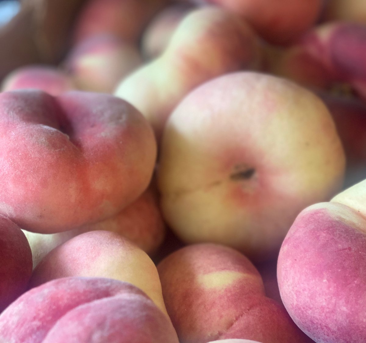 Fruit Basket Direct tweet media