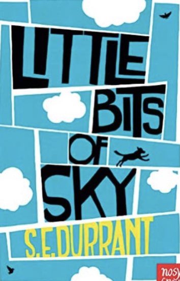 MarrisCmarris's tweet photo. @goodreads #LittleBitsOfSky @SEDurrant Loved this book. It’s about 2 children in care set in the early eighties around the Poll Tax protests. Superb!🥰 https://t.co/GzEd4eFsau