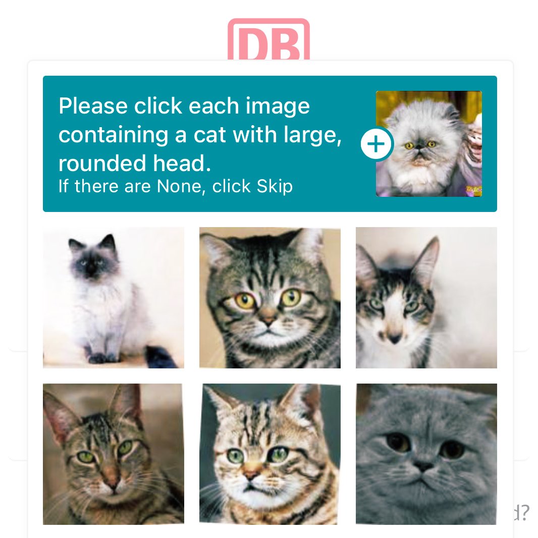 ViktoriaMolnar_'s tweet image. Hardcore #ml training. 
#notrobot, but round head cat 🐱
@DB_Bahn