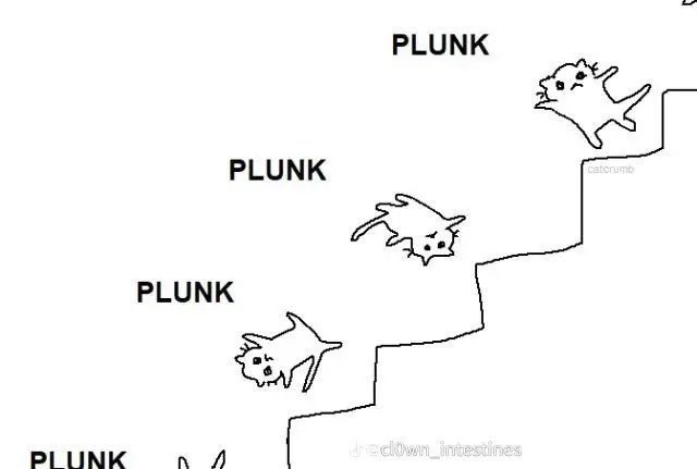 Reactions On Twitter Cat Tumbling Down Stairs Plunk Plunk Plunk Plunk 