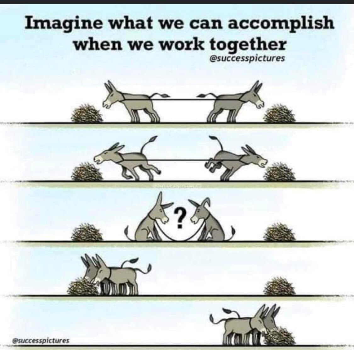 faithcutler's tweet photo. Unity of everyone who want change the dictatorship can be conquered all progressives let’s work togather.
THIS is a call for change seekers.
#ZanuPFIsNotFitToGovern https://t.co/X3136dJXL8