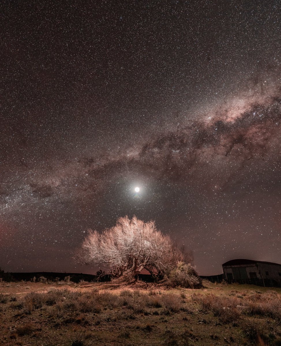 NicooGriffiths's tweet photo. Puerto Madryn ! Saquen sus conclusiones si es el mejor lugar del mundo para ver estrellas ! https://t.co/oxnfqypaOf