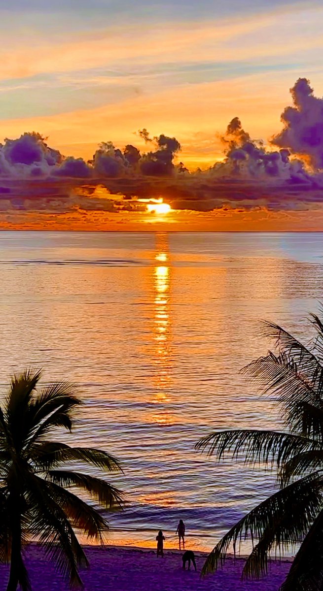 Angel_Stockler's tweet photo. #NaturePhotography 
:¨·.·¨:🌿
 `·. . 💛   .⋆*ೄ.•*¨*•.🤍🧡🤍.⋆*ೄ.•*¨*•. https://t.co/KJTysq8Kvh