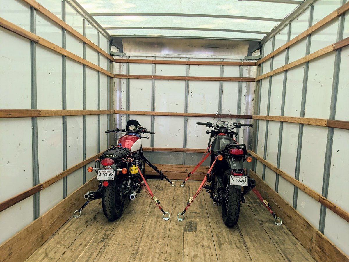 skylerbarto's tweet photo. well. the hogs are coming back to brooklyn. just a small shame we'll have to give up the sequential license plates my brother and i got in south carolina https://t.co/LSJekMYz0r