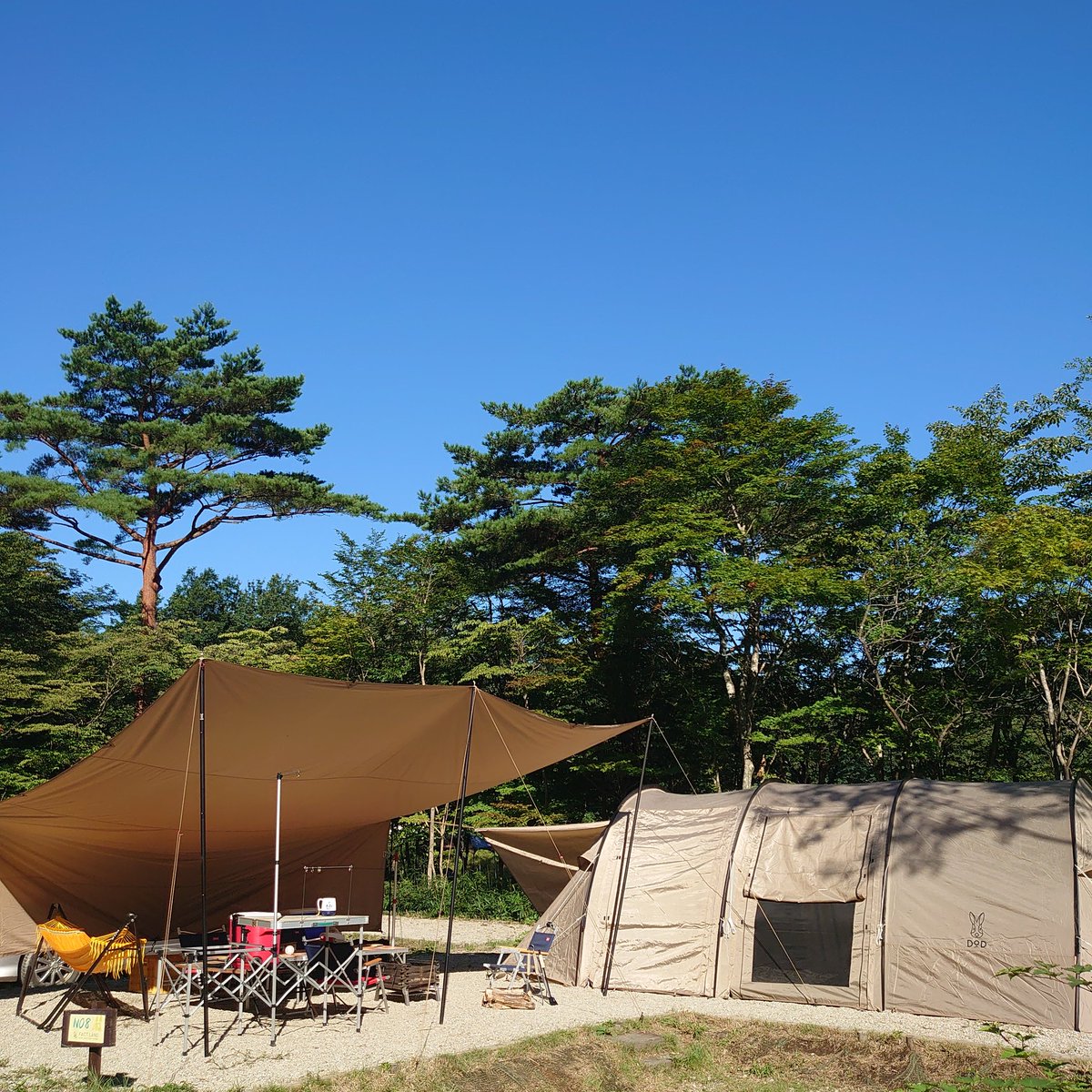 gascocowater's tweet photo. ひっさしぶりのキャンプ🏕️
テントとタープが大きいとレイアウトが大変なんだけど、やっぱ快適さは抜群✨
#キャンプ #dod #カマボコテント #チーズタープ #FACTLAND #ファミリーキャンプ https://t.co/Ui800kANF5