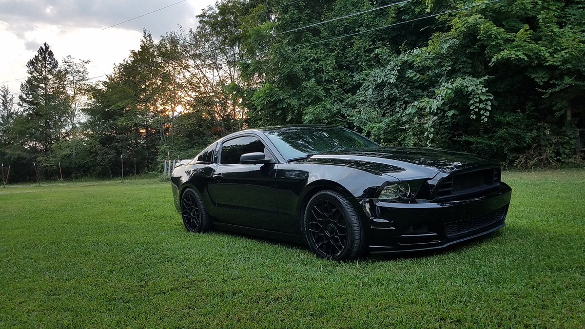 Just added another pony to my stable! 

🔥🇺🇸