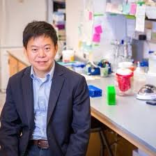 Congratulations to <a href="/ucsdbe/">UC San Diego Bioengineering</a> faculty Peter Wang on his selection as an <a href="/BMESociety/">Biomedical Engineering Society</a> fellow