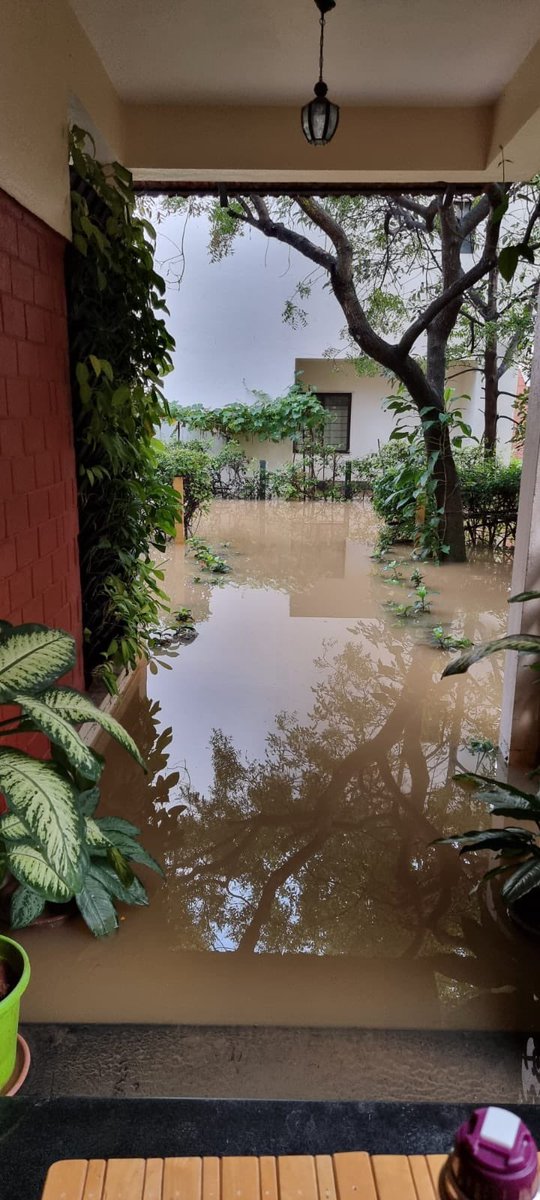 WFRising's tweet photo. Snapshots from in and around Borewell Road. 

Submerged under water! 

Storm water drains are encroached. Builders and everyone happy to usurp any and every piece of land available. BBMP continues to turn a deaf ear. https://t.co/NFGVRnx1lJ