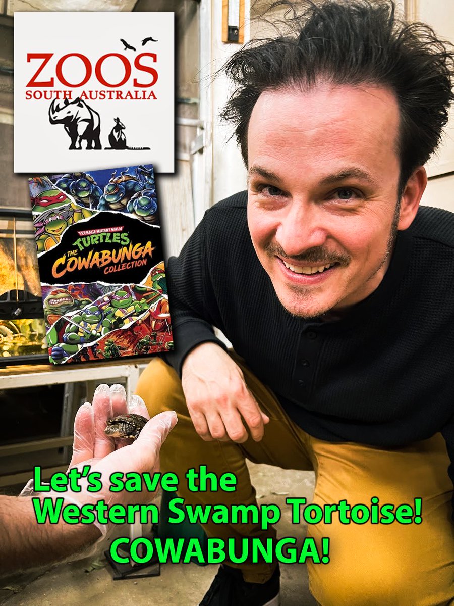 bajo's tweet photo. 🐢LIVE TURTLE CAM TODAY!🐢

At 4:30pm AEST: a sponsored stream for TMNT: The Cowabunga Collection,

AND I'll be raising money for @ZoosSA (a not for profit charity) who are helping to breed the critically endangered Western Swamp Tortoise!

Donation goals to feed them as well! https://t.co/hZbuazwszh