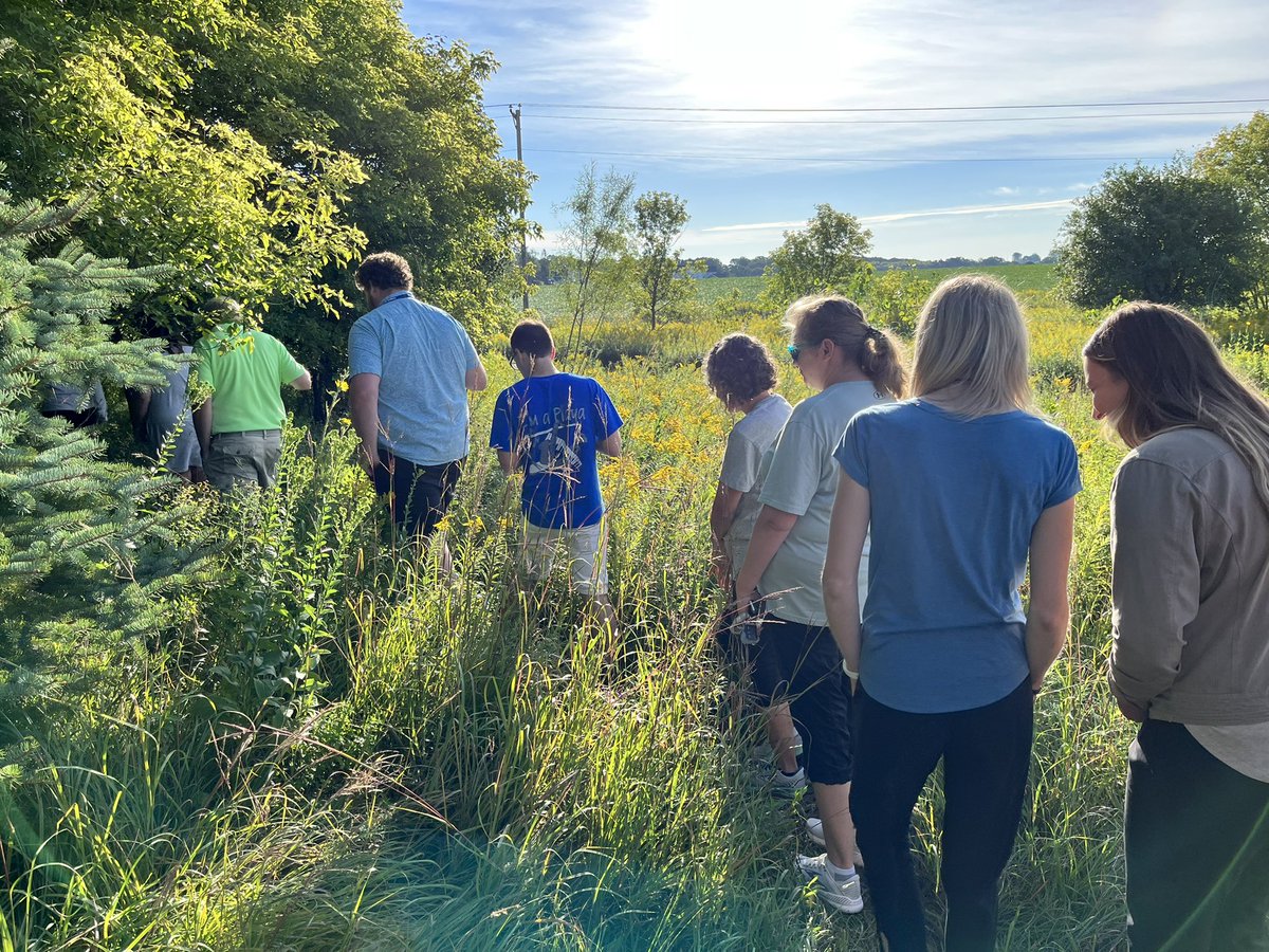 KMElem's tweet photo. The KMES teaching staff gathered today for our welcome meeting. We focused on our priorities for the day and took a break to check out the Nature Based Kindergarten outdoor space! 🌳📷🌅 Thanks tour guides @KMkellyschmidt @DegroodMegan! #KoMetExcellence #KoMetPRIDE https://t.co/cQl6I7K1xT