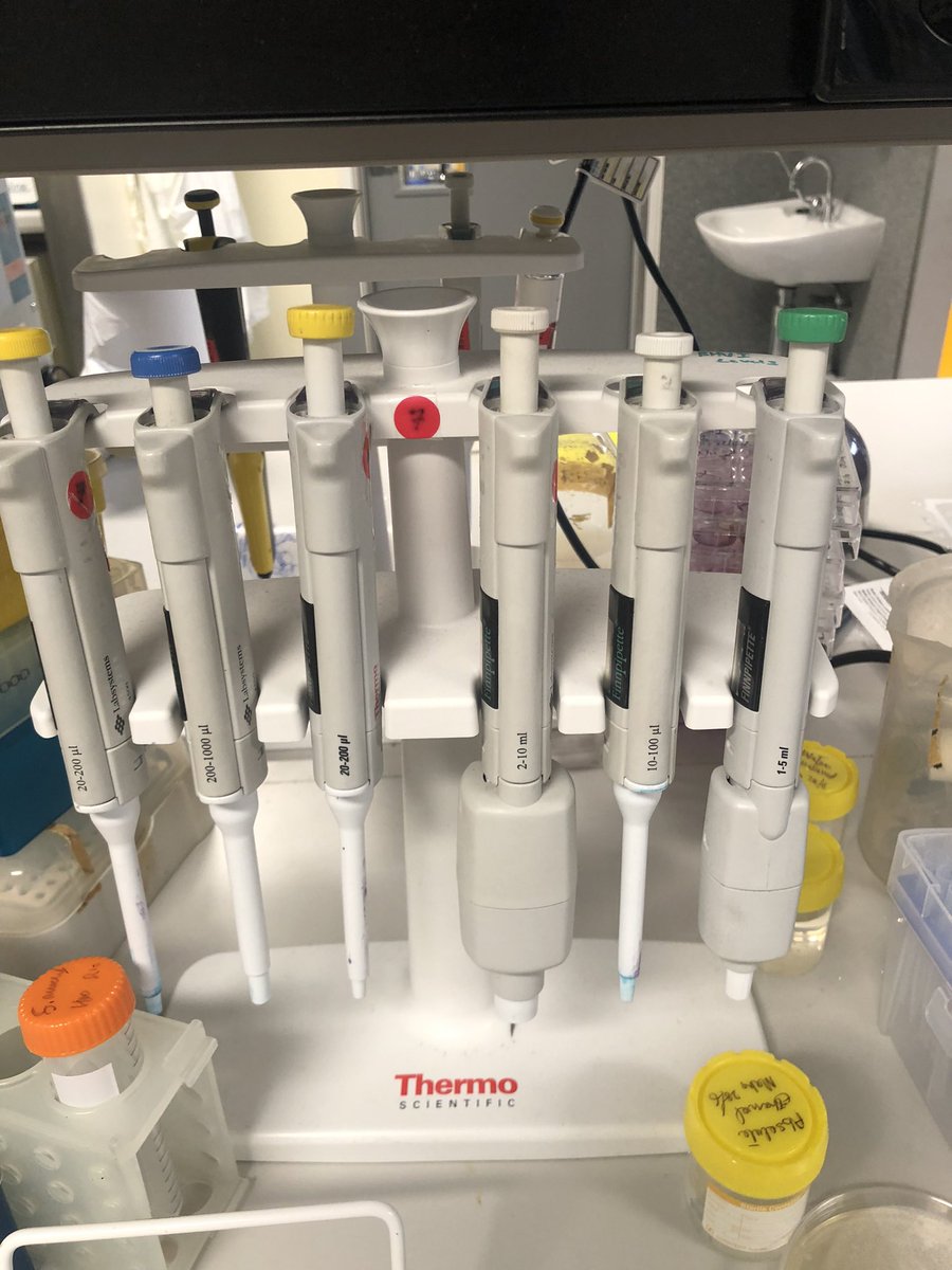 mahjabeenkhan tweet media