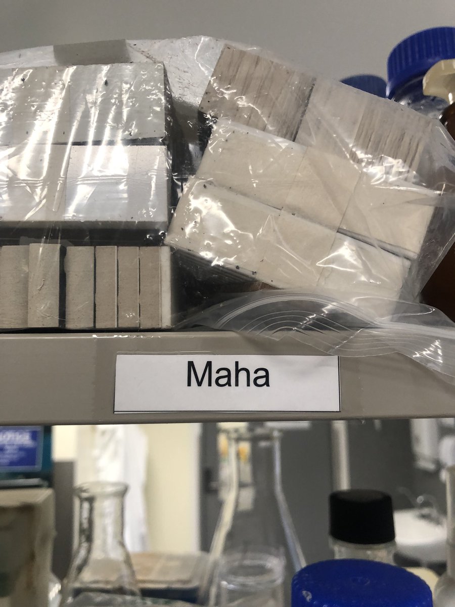 mahjabeenkhan tweet media