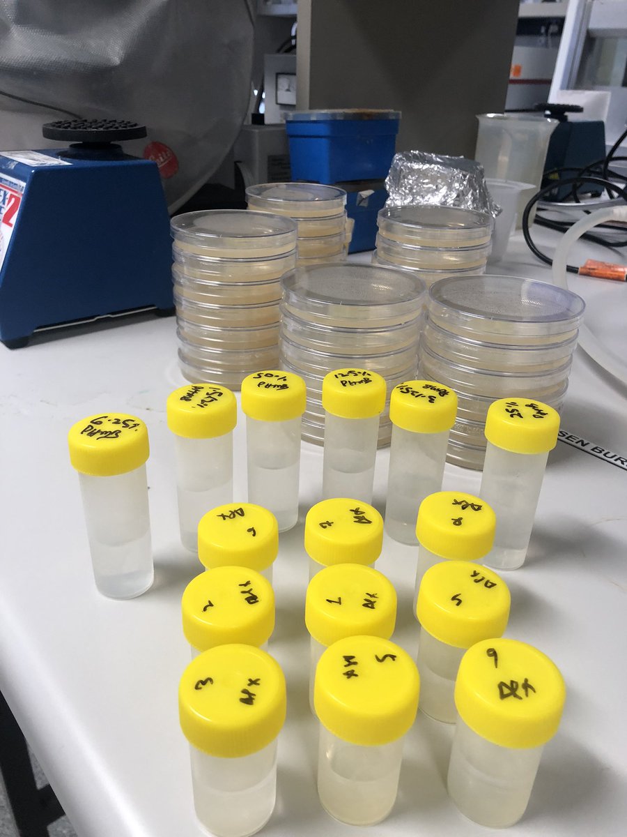 mahjabeenkhan tweet media