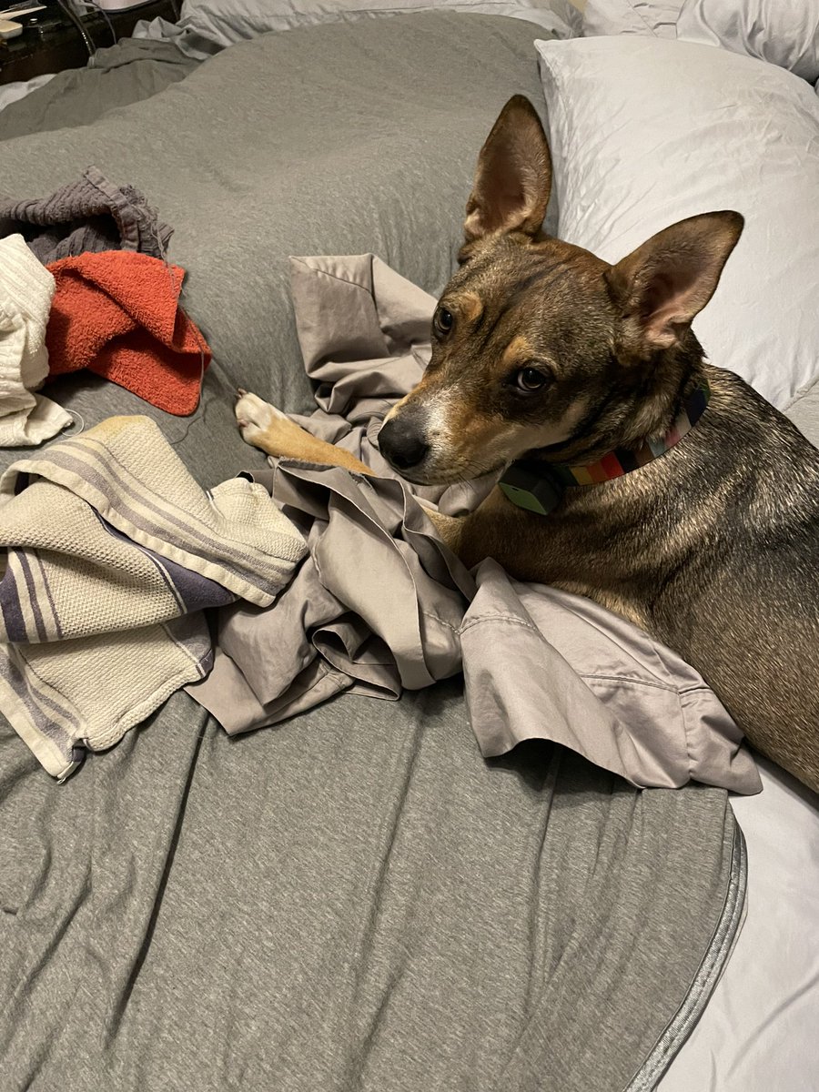 Peter is a homosectional 🏳️🌈 tweet media