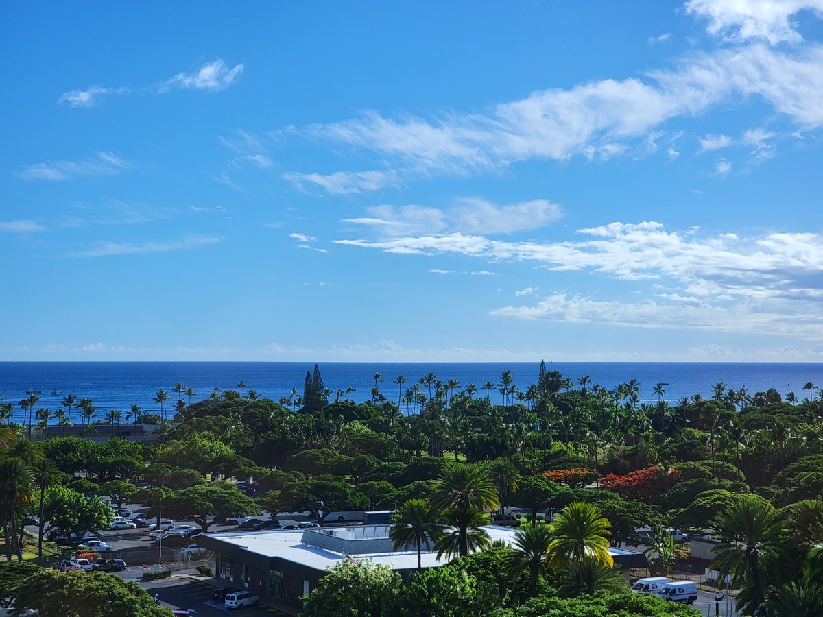 410 Gone tweet media