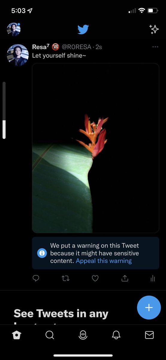 R0RESA's tweet photo. How does a picture of a flower I took have sensitive content?! 🥲 https://t.co/K4Foo3fnRK
