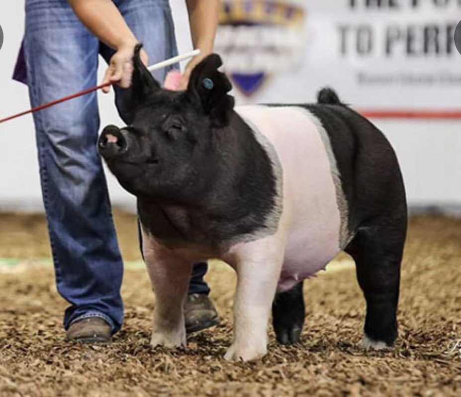 EatonFFA tweet media