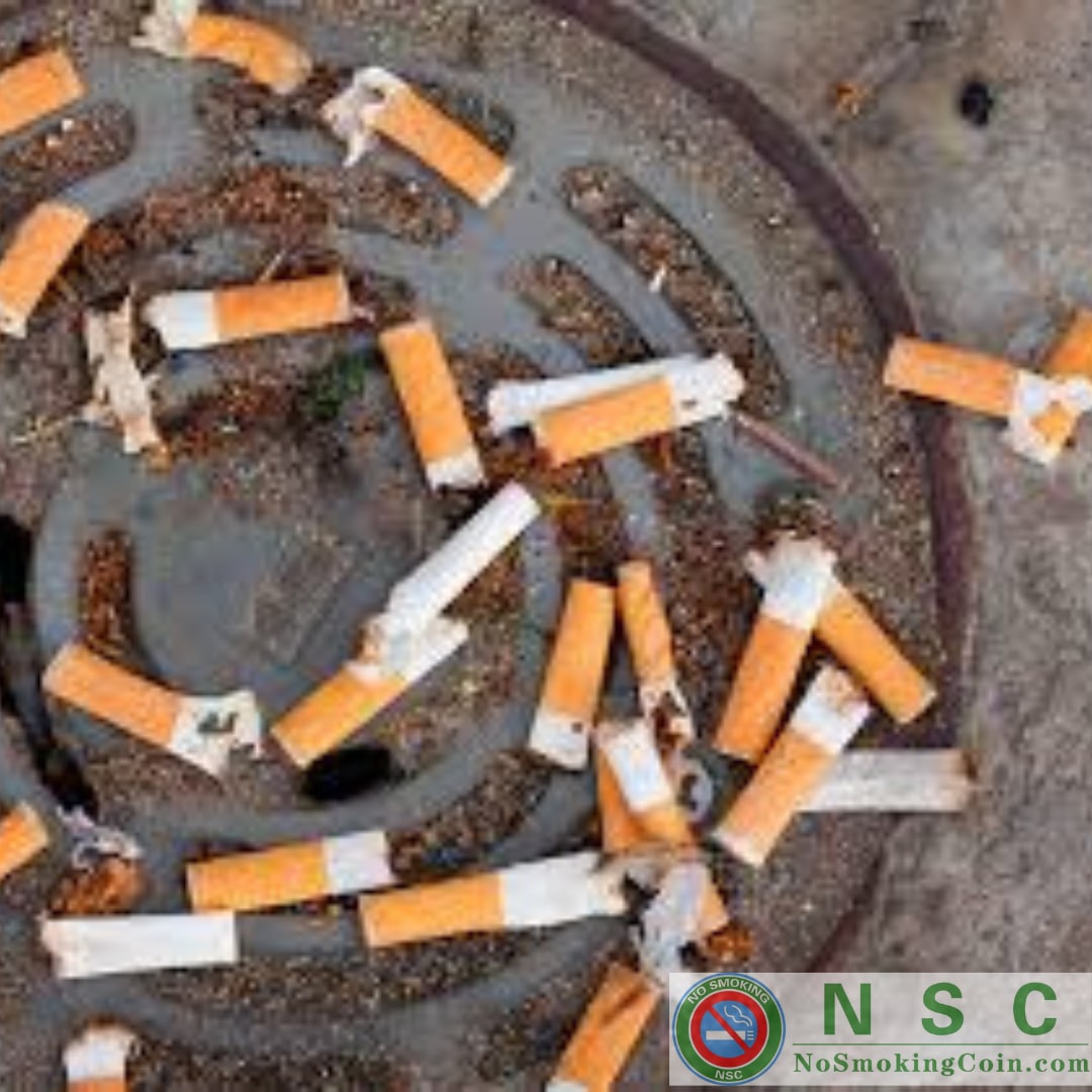 Nicotine found in cigarette butts may cause vomiting and neurological toxicity; leachates of cigarette butts in aquatic environments may cause exposure to additional toxic chemicals including heavy metals, ethyl phenol and pesticide residues.
#NSC #NoSmoking #NoSmokingCoin