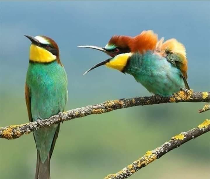 कृष्णा भागडे 🇮🇳 Krishna Bhagade tweet media